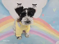 processed/730cd58b-aa10-467e-aca8-61256f7fb3de/listing/3279521c-ca22-4899-8216-aad134d457d1/b354b0f5-6f57-4f4d-9e7a-0ebf9b8db731