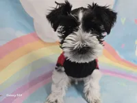 processed/730cd58b-aa10-467e-aca8-61256f7fb3de/listing/3279521c-ca22-4899-8216-aad134d457d1/b803a44f-9ffd-4dd5-b471-4c35eb7b5d25