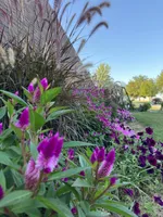 processed/731a5eb7-e21b-4317-b315-39a6b7604d2a/facility/238412e7-0a24-4d61-ab04-3da4f70531a4