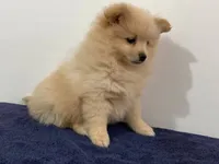 processed/731a5eb7-e21b-4317-b315-39a6b7604d2a/facility/59b3661c-2411-42f5-9aa8-fb96b14efb35