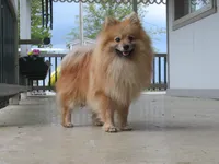 processed/731a5eb7-e21b-4317-b315-39a6b7604d2a/facility/6335a12f-cd6f-49ff-85a1-ddeeb6ba7067