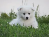 processed/731a5eb7-e21b-4317-b315-39a6b7604d2a/facility/d8015636-e8f1-4bdf-be7c-168b6349b554