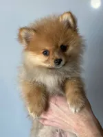 processed/731a5eb7-e21b-4317-b315-39a6b7604d2a/facility/de8469f8-76b1-4453-a0a3-846d8acbe83e