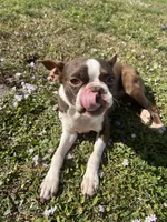 processed/731bf59b-0dc7-4b8a-a2fb-4ad21b23a6cf/listing/5f20256b-c280-4e34-8e9b-167943321b70/2c31b59c-61df-4208-810f-c311f3ddc463