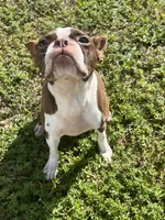 processed/731bf59b-0dc7-4b8a-a2fb-4ad21b23a6cf/listing/5f20256b-c280-4e34-8e9b-167943321b70/50e091d3-17c1-46e3-865e-d30b223ccc06