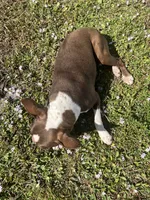 processed/731bf59b-0dc7-4b8a-a2fb-4ad21b23a6cf/listing/5f20256b-c280-4e34-8e9b-167943321b70/cf749cf0-527a-4a0a-99b4-b6ac50cabada