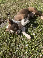 processed/731bf59b-0dc7-4b8a-a2fb-4ad21b23a6cf/listing/5f20256b-c280-4e34-8e9b-167943321b70/cfb04118-f10a-489c-9c47-1edbca297bb4