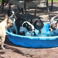 processed/73224b54-d9da-4281-a4af-2d19cf73281d/facility/0ae282f6-d9f3-4a7c-9252-a4575b7cfd01