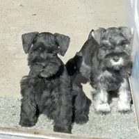 processed/73224b54-d9da-4281-a4af-2d19cf73281d/facility/721de5bb-6455-4e5c-b3a8-d147e8ea6448