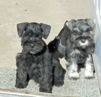 processed/73224b54-d9da-4281-a4af-2d19cf73281d/facility/721de5bb-6455-4e5c-b3a8-d147e8ea6448