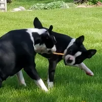 processed/73224b54-d9da-4281-a4af-2d19cf73281d/facility/85609df9-22c6-404e-9f23-d3a9aa1f9072