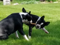 processed/73224b54-d9da-4281-a4af-2d19cf73281d/facility/85609df9-22c6-404e-9f23-d3a9aa1f9072