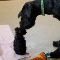 processed/73224b54-d9da-4281-a4af-2d19cf73281d/facility/aa202fcf-aaee-4053-a03f-18629121d858