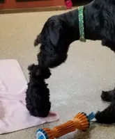 processed/73224b54-d9da-4281-a4af-2d19cf73281d/facility/aa202fcf-aaee-4053-a03f-18629121d858