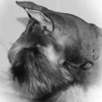 processed/73224b54-d9da-4281-a4af-2d19cf73281d/facility/b54183d4-cfce-44a3-8494-cb1a91638dc0