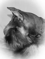 processed/73224b54-d9da-4281-a4af-2d19cf73281d/facility/b54183d4-cfce-44a3-8494-cb1a91638dc0