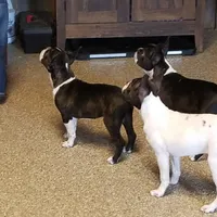 processed/73224b54-d9da-4281-a4af-2d19cf73281d/facility/b7383cfa-4ab4-4811-8f81-28888037016e