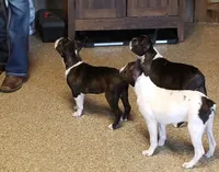 processed/73224b54-d9da-4281-a4af-2d19cf73281d/facility/b7383cfa-4ab4-4811-8f81-28888037016e