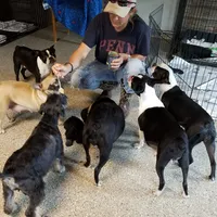 processed/73224b54-d9da-4281-a4af-2d19cf73281d/facility/ce539177-7567-4b81-8e82-0ea77474caf8