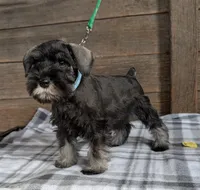 processed/73224b54-d9da-4281-a4af-2d19cf73281d/listing/182b7bef-7c5d-4e99-9433-20413ef79e92/297942cd-8e13-45a2-b667-2aecc7d33fca