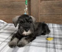 processed/73224b54-d9da-4281-a4af-2d19cf73281d/listing/182b7bef-7c5d-4e99-9433-20413ef79e92/2c99ee52-467f-4f2f-83e2-8a8a515ad9e9