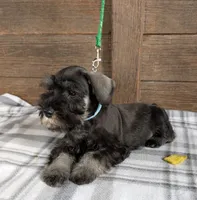 processed/73224b54-d9da-4281-a4af-2d19cf73281d/listing/182b7bef-7c5d-4e99-9433-20413ef79e92/4168f684-931f-47ce-a74c-31a1f471110f