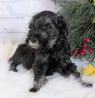 processed/73224b54-d9da-4281-a4af-2d19cf73281d/listing/182b7bef-7c5d-4e99-9433-20413ef79e92/5b52bdec-2180-4e2d-b368-9792ea847200