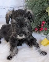 processed/73224b54-d9da-4281-a4af-2d19cf73281d/listing/182b7bef-7c5d-4e99-9433-20413ef79e92/6afb6ed0-6e2b-4559-9df9-5c563e8bfbb4