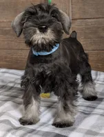 processed/73224b54-d9da-4281-a4af-2d19cf73281d/listing/182b7bef-7c5d-4e99-9433-20413ef79e92/7cdb41cf-378b-47a1-b1a8-1429f960905c