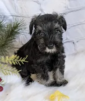 processed/73224b54-d9da-4281-a4af-2d19cf73281d/listing/182b7bef-7c5d-4e99-9433-20413ef79e92/9309fc71-5da1-4dd7-9366-92627dd2912f