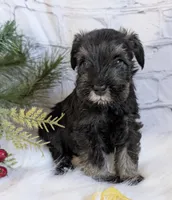 processed/73224b54-d9da-4281-a4af-2d19cf73281d/listing/182b7bef-7c5d-4e99-9433-20413ef79e92/aa42b60b-1c0b-469b-ac9c-b7739c5e52a6