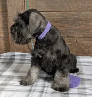 processed/73224b54-d9da-4281-a4af-2d19cf73281d/listing/5572fce8-ef7a-4063-ae12-eb052eae7a81/134feff5-9a70-4c14-8cf0-b93e03f57421