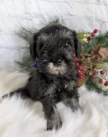 processed/73224b54-d9da-4281-a4af-2d19cf73281d/listing/5572fce8-ef7a-4063-ae12-eb052eae7a81/38c3d186-3a78-4dfe-8445-73dab5804c66