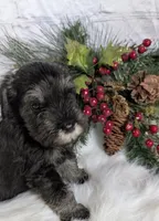 processed/73224b54-d9da-4281-a4af-2d19cf73281d/listing/5572fce8-ef7a-4063-ae12-eb052eae7a81/41f84577-4686-4905-84dd-af42b8a2794e