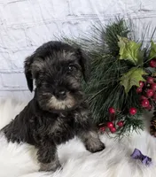 processed/73224b54-d9da-4281-a4af-2d19cf73281d/listing/5572fce8-ef7a-4063-ae12-eb052eae7a81/7174aea3-945b-465c-9569-73d272b10aab