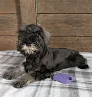 processed/73224b54-d9da-4281-a4af-2d19cf73281d/listing/5572fce8-ef7a-4063-ae12-eb052eae7a81/98b494f7-fcf6-47da-b705-1e10bd6093ea