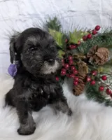 processed/73224b54-d9da-4281-a4af-2d19cf73281d/listing/5572fce8-ef7a-4063-ae12-eb052eae7a81/af872fca-925e-41bb-bcdf-bfe2edbec0fc