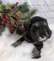 processed/73224b54-d9da-4281-a4af-2d19cf73281d/listing/5572fce8-ef7a-4063-ae12-eb052eae7a81/dbf59048-e728-42ae-bcb9-5432aa7b17f1