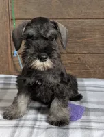 processed/73224b54-d9da-4281-a4af-2d19cf73281d/listing/5572fce8-ef7a-4063-ae12-eb052eae7a81/ea825c64-6424-4af7-ad97-ddafaec0079b