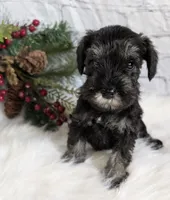 processed/73224b54-d9da-4281-a4af-2d19cf73281d/listing/5572fce8-ef7a-4063-ae12-eb052eae7a81/ef1bd6d0-750f-4a59-be78-900b7366ac06