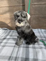 processed/73224b54-d9da-4281-a4af-2d19cf73281d/listing/8ac8cd9e-f912-41e5-ba55-29e84a4b6bc3/0f14a186-7ee0-4d9d-98d8-24c718dfc5d6