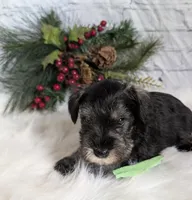 processed/73224b54-d9da-4281-a4af-2d19cf73281d/listing/8ac8cd9e-f912-41e5-ba55-29e84a4b6bc3/0fc6773b-a3a4-4088-84f1-6923f21dcd48