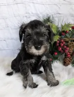 processed/73224b54-d9da-4281-a4af-2d19cf73281d/listing/8ac8cd9e-f912-41e5-ba55-29e84a4b6bc3/314aa58d-b313-4ffe-be40-1c41bd5e5dfa