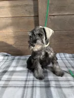 processed/73224b54-d9da-4281-a4af-2d19cf73281d/listing/8ac8cd9e-f912-41e5-ba55-29e84a4b6bc3/65e01840-275e-41d3-8f86-123de91b21c5