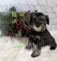 processed/73224b54-d9da-4281-a4af-2d19cf73281d/listing/8ac8cd9e-f912-41e5-ba55-29e84a4b6bc3/8bdebebc-3d4c-48d8-a1aa-354e6694b395