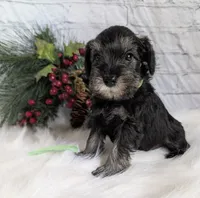 processed/73224b54-d9da-4281-a4af-2d19cf73281d/listing/8ac8cd9e-f912-41e5-ba55-29e84a4b6bc3/fa1125eb-8be1-4179-a507-bd9808163a0e