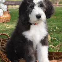 processed/732a1749-41a6-49cc-8075-9c52d658297e/facility/28800e25-6296-4ddc-98cd-28fc24ca1277