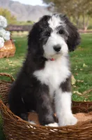 processed/732a1749-41a6-49cc-8075-9c52d658297e/facility/28800e25-6296-4ddc-98cd-28fc24ca1277