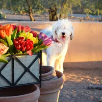 processed/732a1749-41a6-49cc-8075-9c52d658297e/facility/420195b2-02e2-41e9-a59d-2b465f6a958e