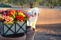 processed/732a1749-41a6-49cc-8075-9c52d658297e/facility/420195b2-02e2-41e9-a59d-2b465f6a958e